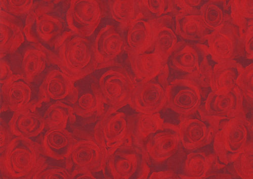 Geschenkpapier - Rote Rosen (25cm Rolle)